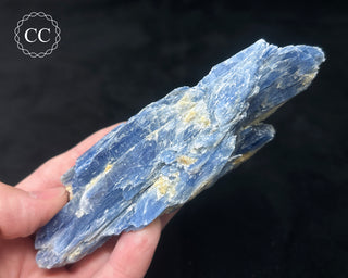 Blue Kyanite in Quartz #8