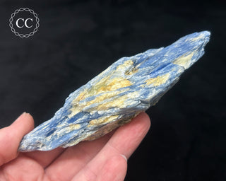 Blue Kyanite in Quartz #8