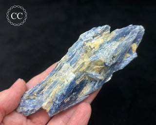 Blue Kyanite in Quartz #8