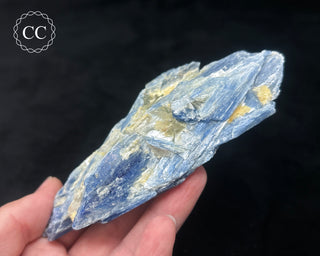 Blue Kyanite in Quartz #8