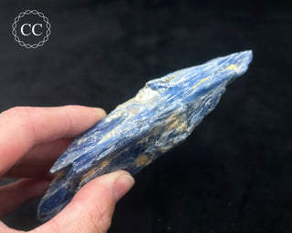 Blue Kyanite in Quartz #8