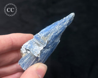 Blue Kyanite in Quartz #2