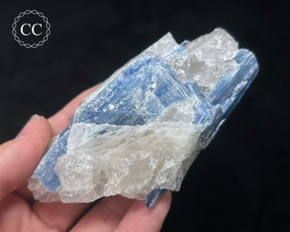 Blue Kyanite in Quartz #9