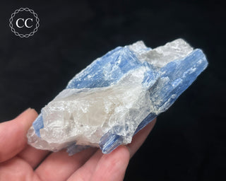 Blue Kyanite in Quartz #9
