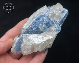 Blue Kyanite in Quartz #9