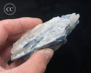 Blue Kyanite in Quartz #9
