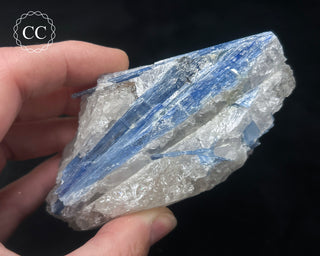 Blue Kyanite in Quartz #9