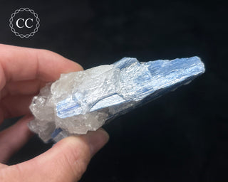 Blue Kyanite in Quartz #9