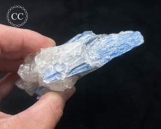 Blue Kyanite in Quartz #9