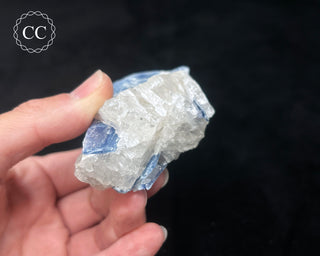 Blue Kyanite in Quartz #9