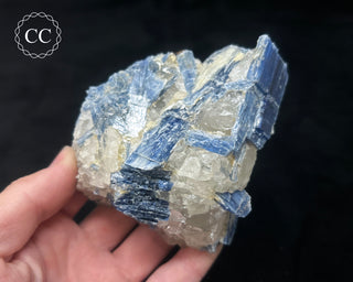 Blue Kyanite in Quartz #10