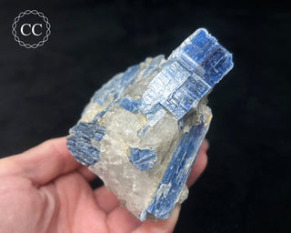 Blue Kyanite in Quartz #10