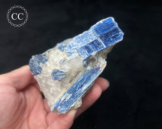 Blue Kyanite in Quartz #10