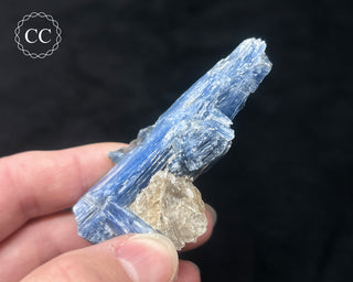Blue Kyanite in Quartz #2