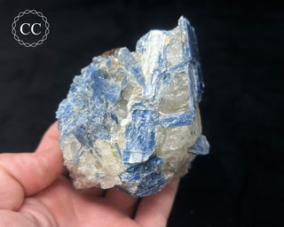 Blue Kyanite in Quartz #10