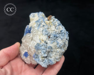 Blue Kyanite in Quartz #10