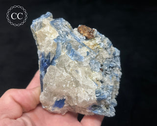 Blue Kyanite in Quartz #10