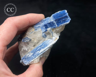 Blue Kyanite in Quartz #10
