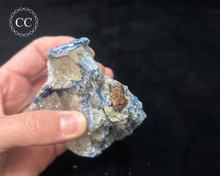 Blue Kyanite in Quartz #10
