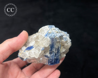 Blue Kyanite in Quartz #10
