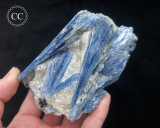Blue Kyanite in Quartz #11