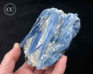 Blue Kyanite in Quartz #11