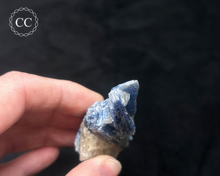 Blue Kyanite in Quartz #2