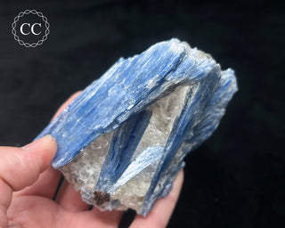 Blue Kyanite in Quartz #11