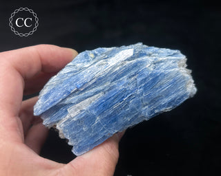 Blue Kyanite in Quartz #11