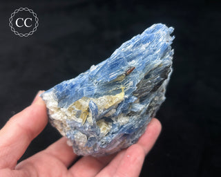 Blue Kyanite in Quartz #11
