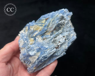 Blue Kyanite in Quartz #11
