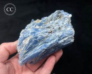 Blue Kyanite in Quartz #11