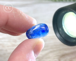 Blue Kyanite Polished #15