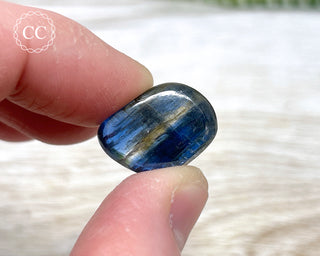 Blue Kyanite Polished #1