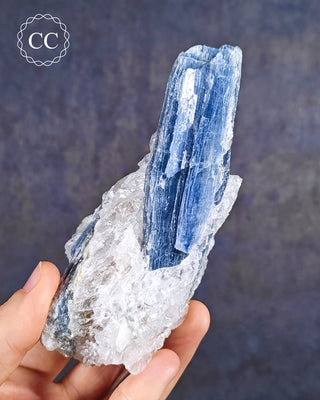 Blue Kyanite in Quartz from Brazil in hand