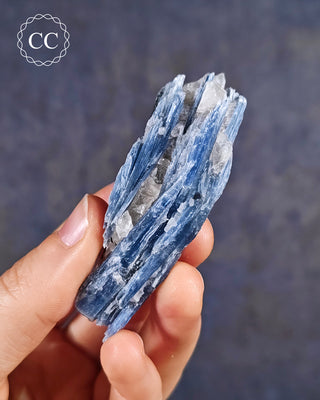 Blue Kyanite in Quartz from Brazil in hand