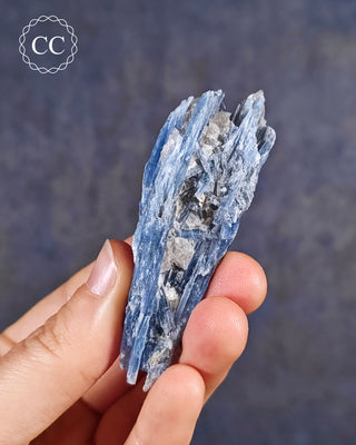 Blue Kyanite in Quartz #17