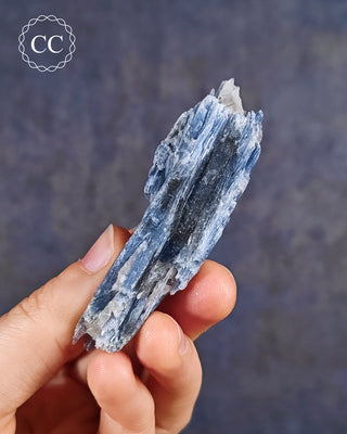 Blue Kyanite in Quartz #17