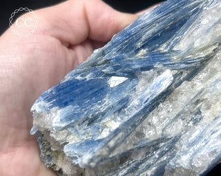 Blue Kyanite in Quartz #1