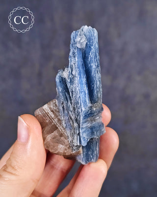 Blue Kyanite in Quartz from Brazil in hand