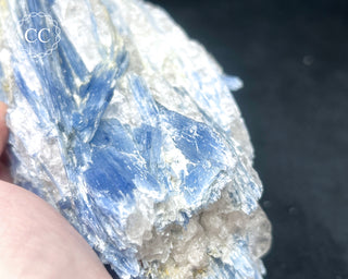Blue Kyanite in Quartz #1