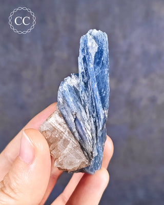 Blue Kyanite in Quartz #2