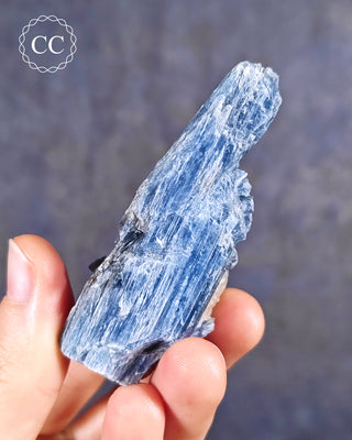 Blue Kyanite in Quartz #2