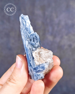 Blue Kyanite in Quartz #2