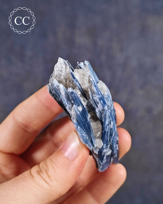 Blue Kyanite in Quartz #17