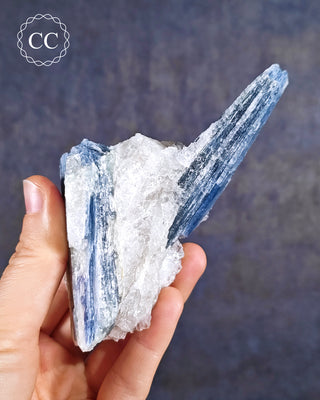 Blue Kyanite in Quartz #3