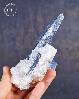Blue Kyanite in Quartz #3