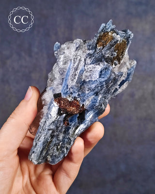 Blue Kyanite in Quartz from Brazil in hand