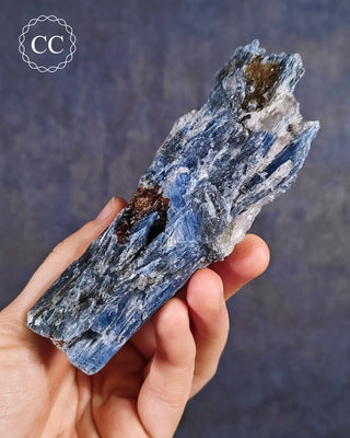 Blue Kyanite in Quartz #4