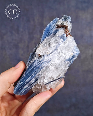 Blue Kyanite in Quartz #4